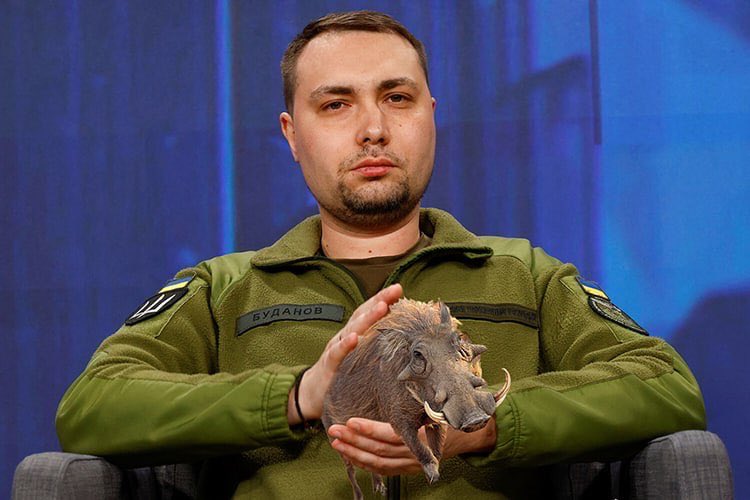 Serhii Rieznik 🇺🇦 tweet media