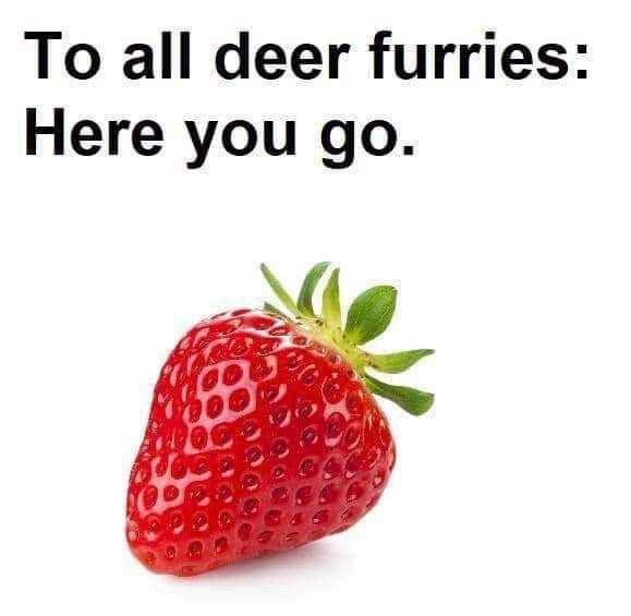 Deerpostss's tweet photo. https://t.co/oUITmlfXef