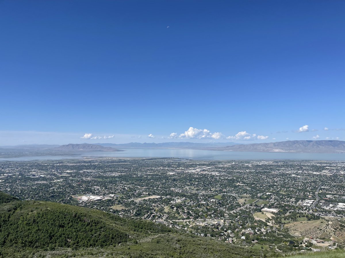 Levi Parker tweet media