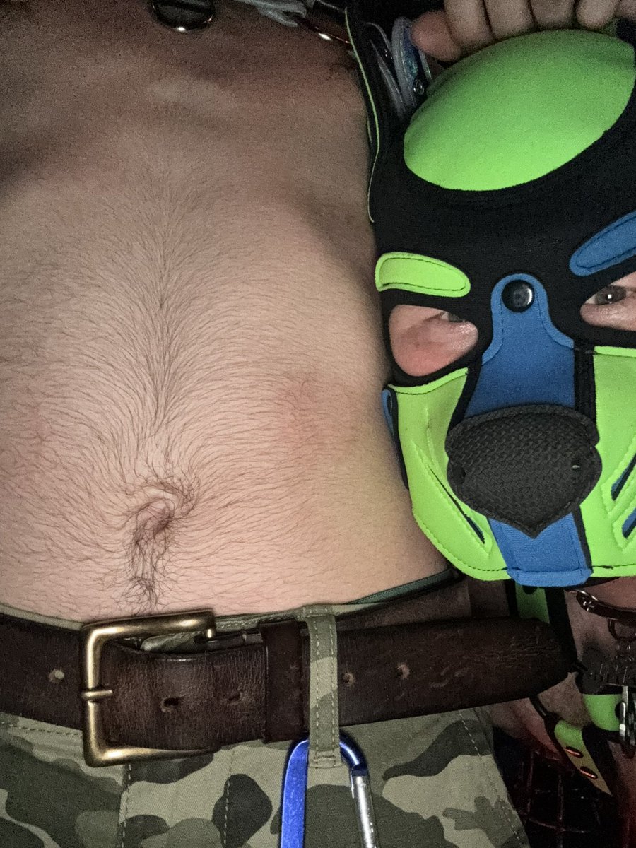 Pup Myah tweet media