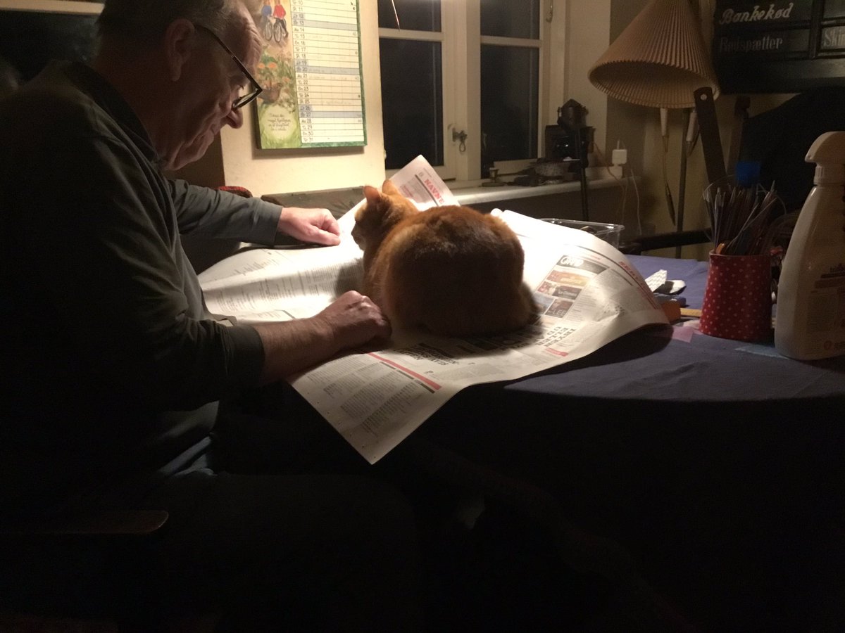 Strikketanten's tweet photo. "Whaddayamean, *your* newspaper and *your* crossword? It is *my* bed!"

#MissPhoenix https://t.co/S3mXq0OJBY