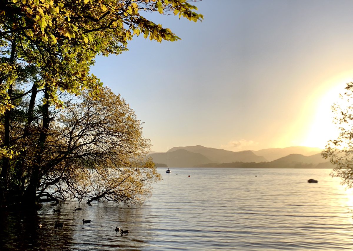 FreestoneFF's tweet image. A stunning autumnal afternoon in the Lakes. Loads of OOS Trout rising on the Eamont too!