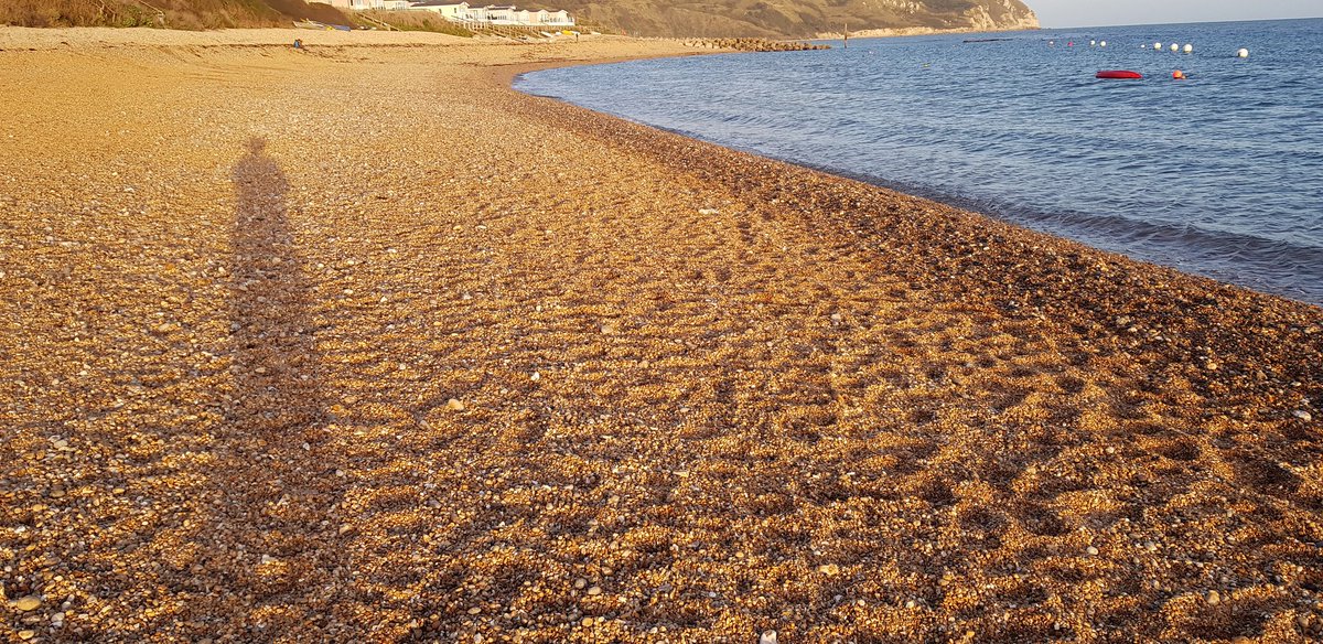 CookeElizAuthor's tweet photo. Beautiful late afternoon light at #ringstead #dorsetUK for a sunset swim #wildwaterswimming #sea #beach #seaswimming https://t.co/QFZwphXtTf