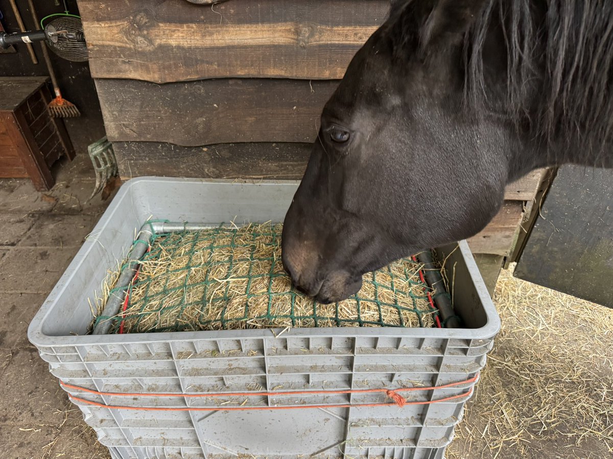 🤍 Mel 🤍 tweet media