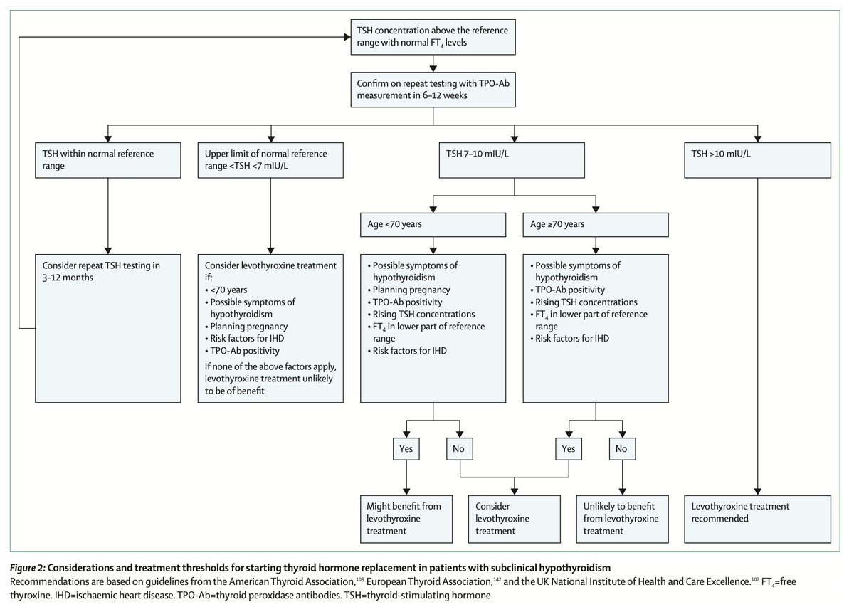 Everardo J. Díaz-López tweet media