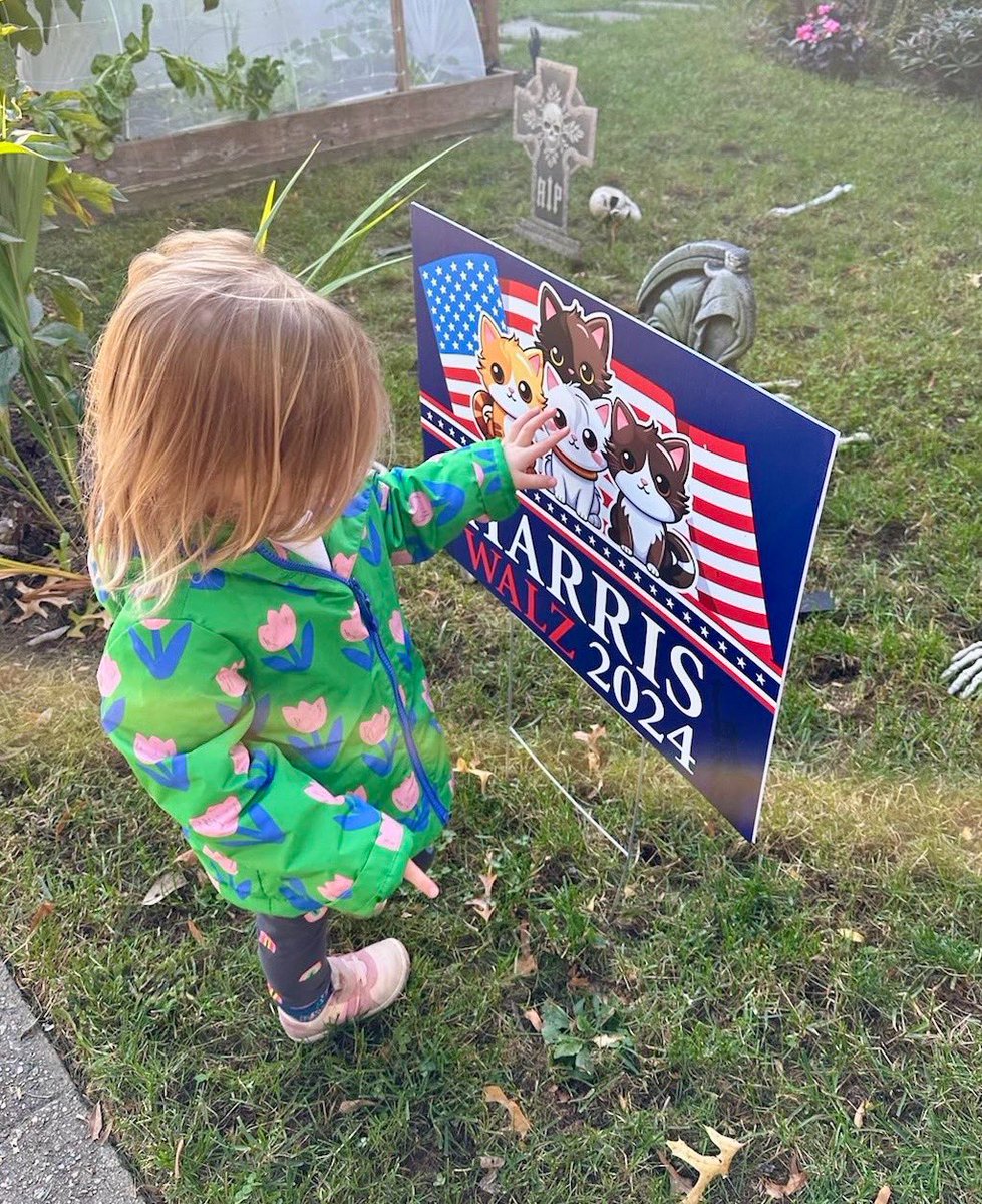 Kathy Hochul tweet media