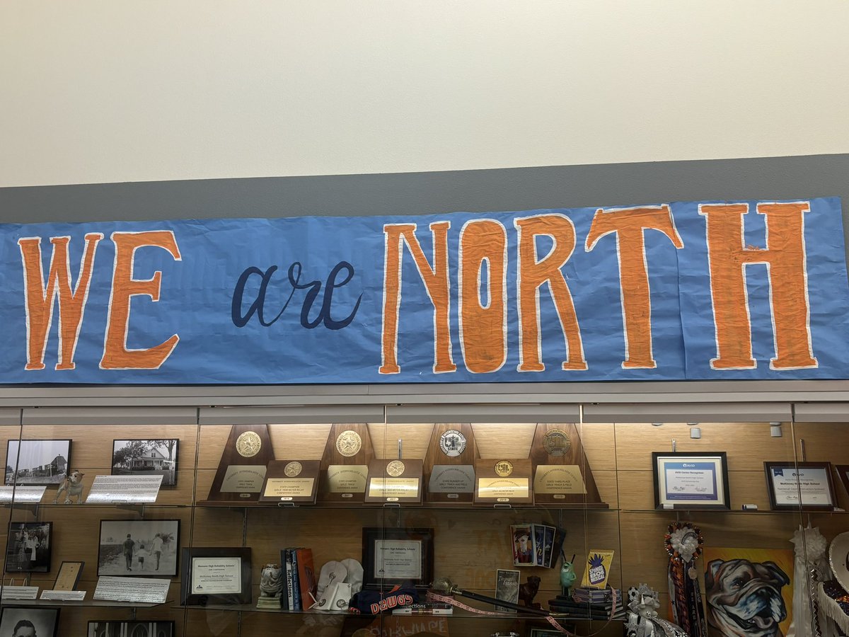 Cathy Stein tweet media