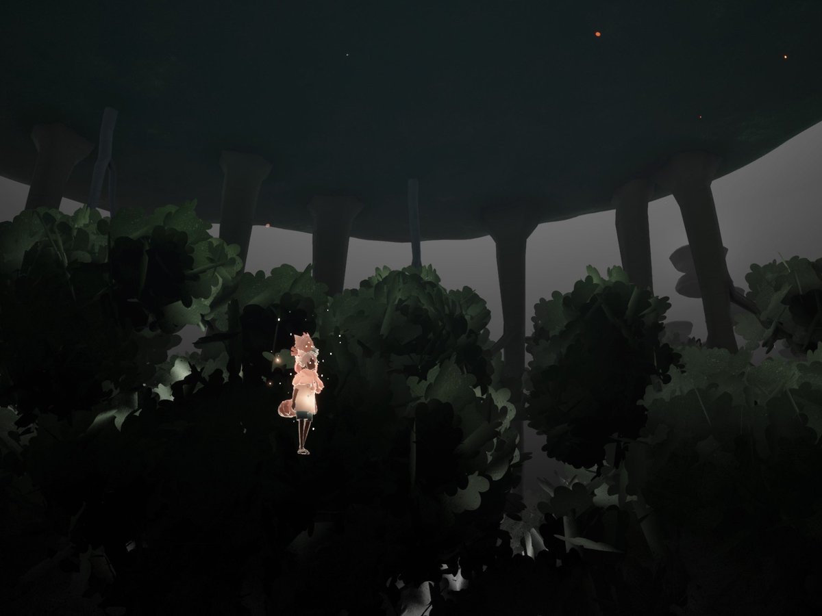 Fengshuang/ねこ tweet media