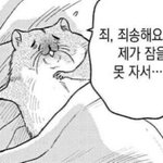 Photo by 짤터는 홍시 (@18vDa)