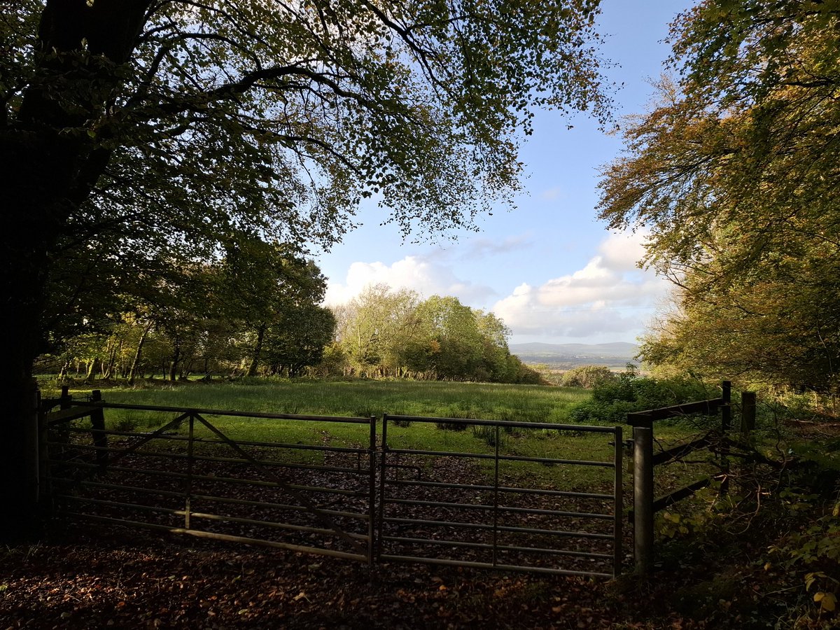 Richard_M_Owen's tweet photo. Looking north...π§β°οΈπ€π΄σ §σ ’σ ·σ ¬σ ³σ Ώ
#Preselis #pembrokeshire
#autumn2024 #Sunshine
#outdoors #vitamind https://t.co/XOLMCwS0Bu