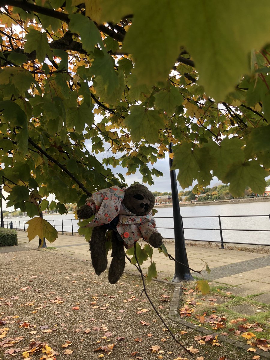 SomnoSloth's tweet photo. Hangout at the Docks #autumnvibes https://t.co/YDaEuEYPFY