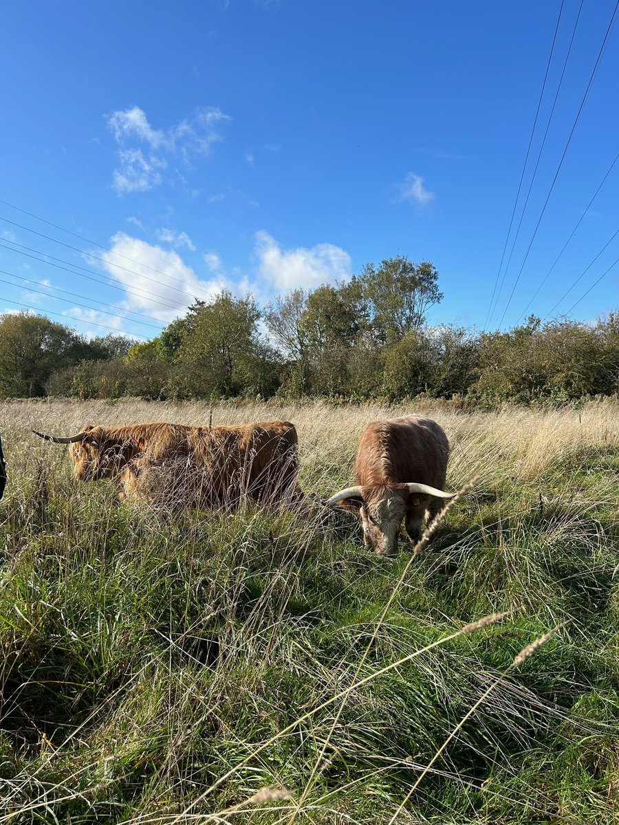 Derby Parks tweet media