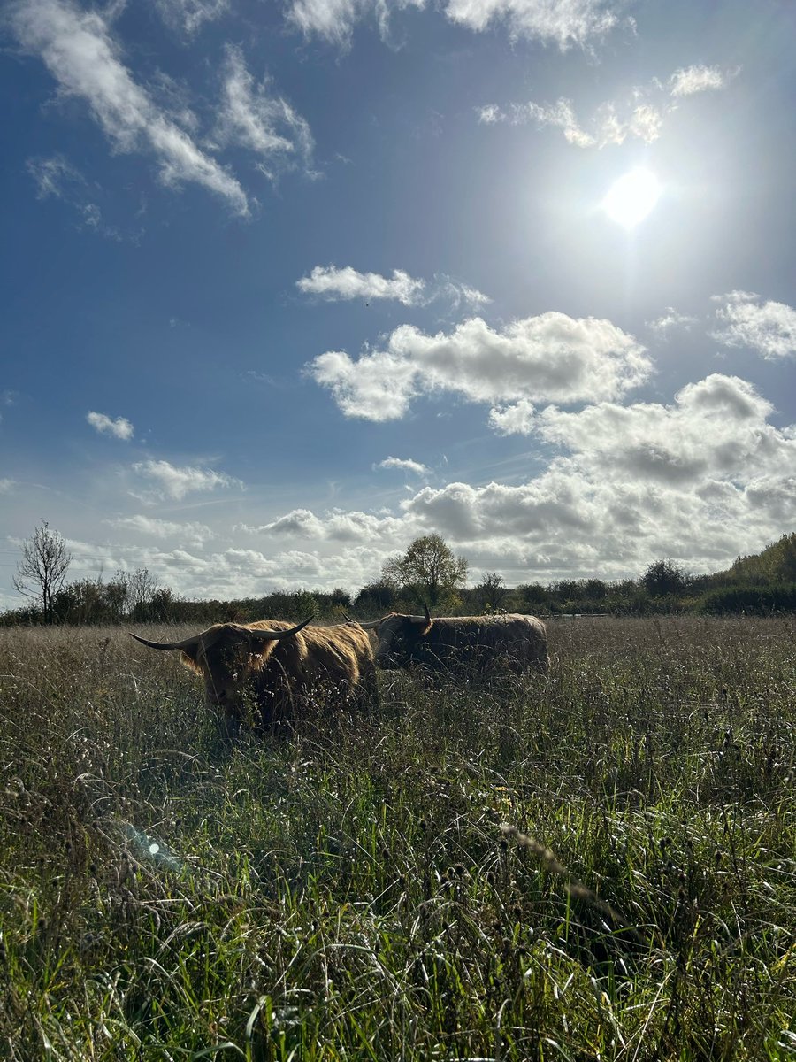 Derby Parks tweet media