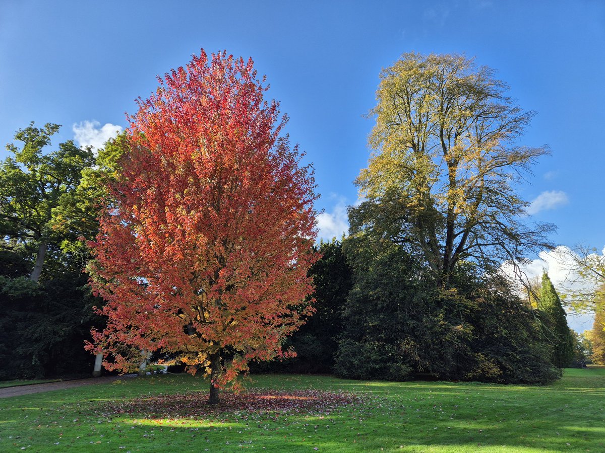 James Bulpin (@jamesbulpin) on Twitter photo Some beautiful autumn colour at <a href="/AngleseyAbbeyNT/">Anglesey Abbey</a> today. #AAPhotoOfTheWeek #SunshineAfterTheRain Some beautiful autumn colour at <a href="/AngleseyAbbeyNT/">Anglesey Abbey</a> today. #AAPhotoOfTheWeek #SunshineAfterTheRain
