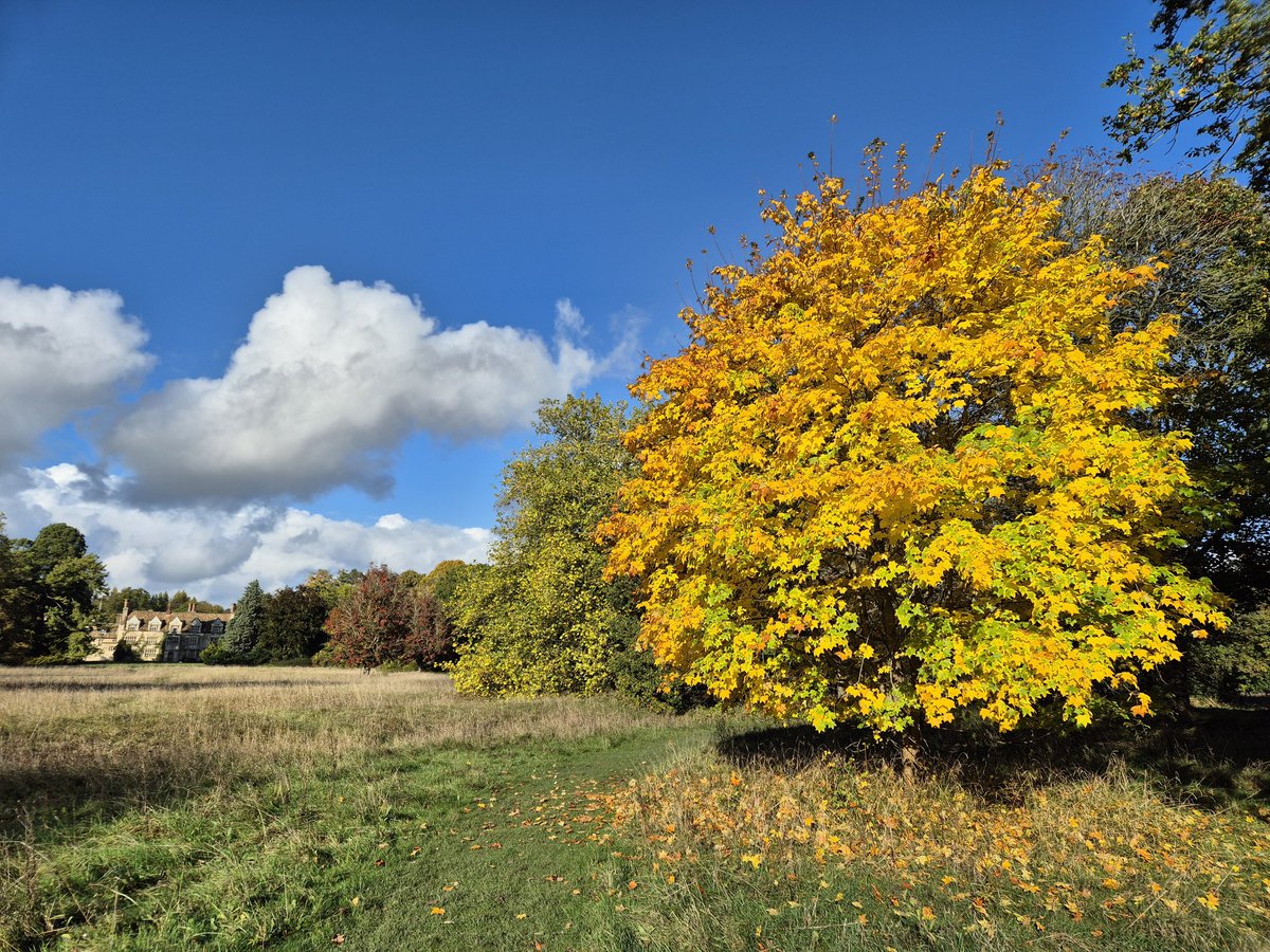 James Bulpin tweet media