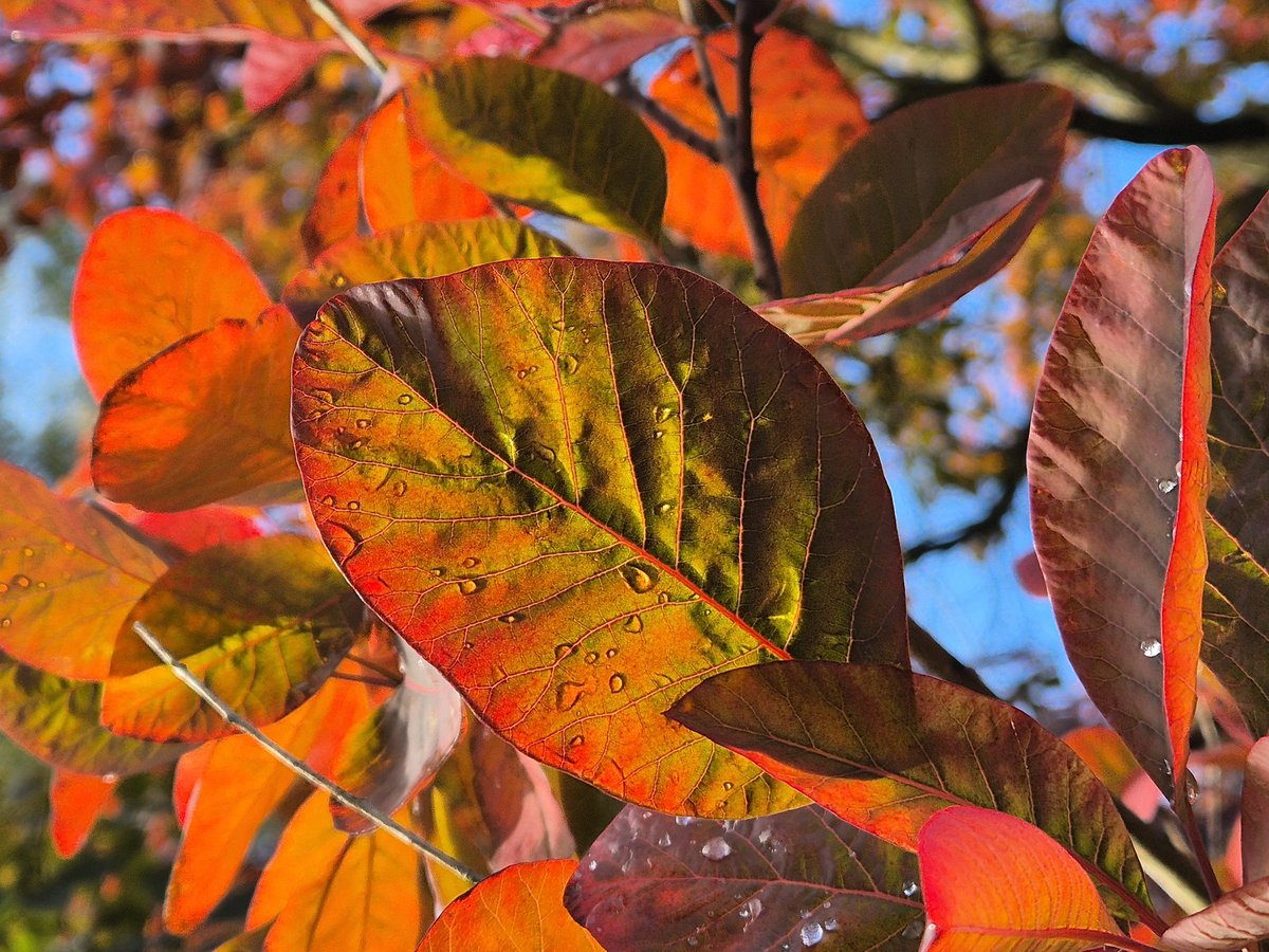 James Bulpin tweet media