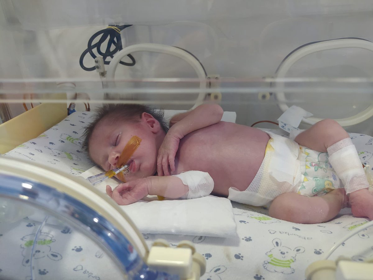 Maya bebegim yenidogan cetesinin kurbani oldu. Kizim icin adalet istiyorum. 6 ay kuvezde kaldi saibeli bir sekilde olum haberini aldik. 2021 senesinden beridir davamiz suruyor. 

#mayaicinadalet istiyoruz 
#bebekkatilleri 
#yenidoğanbebekçetesi 

<a href="/mayaicinadalet/">MAYAİÇİNADALET</a>