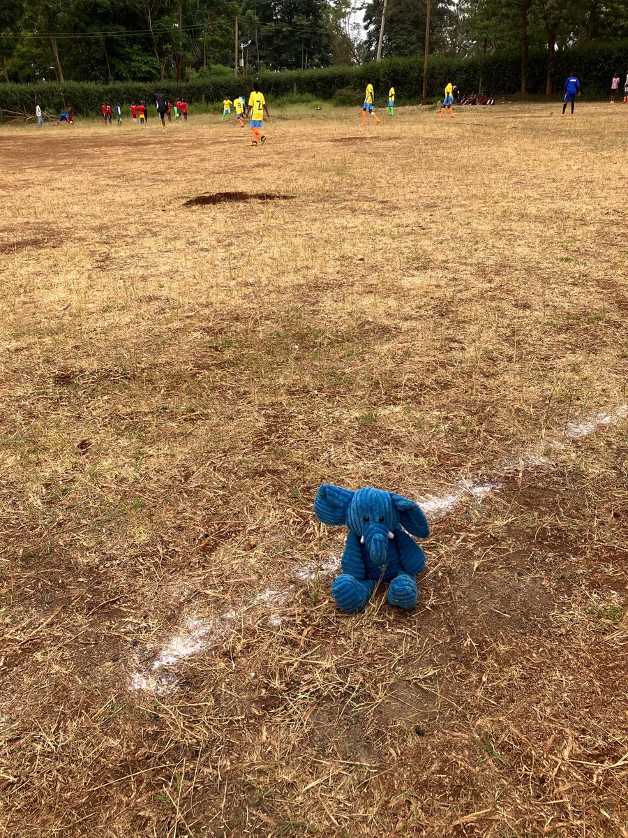 ElliePrimary1's tweet image. Today Blue Ellie played football with children from the rescue centre. What fun! #WhereIsEllie #ReachingTheWorld