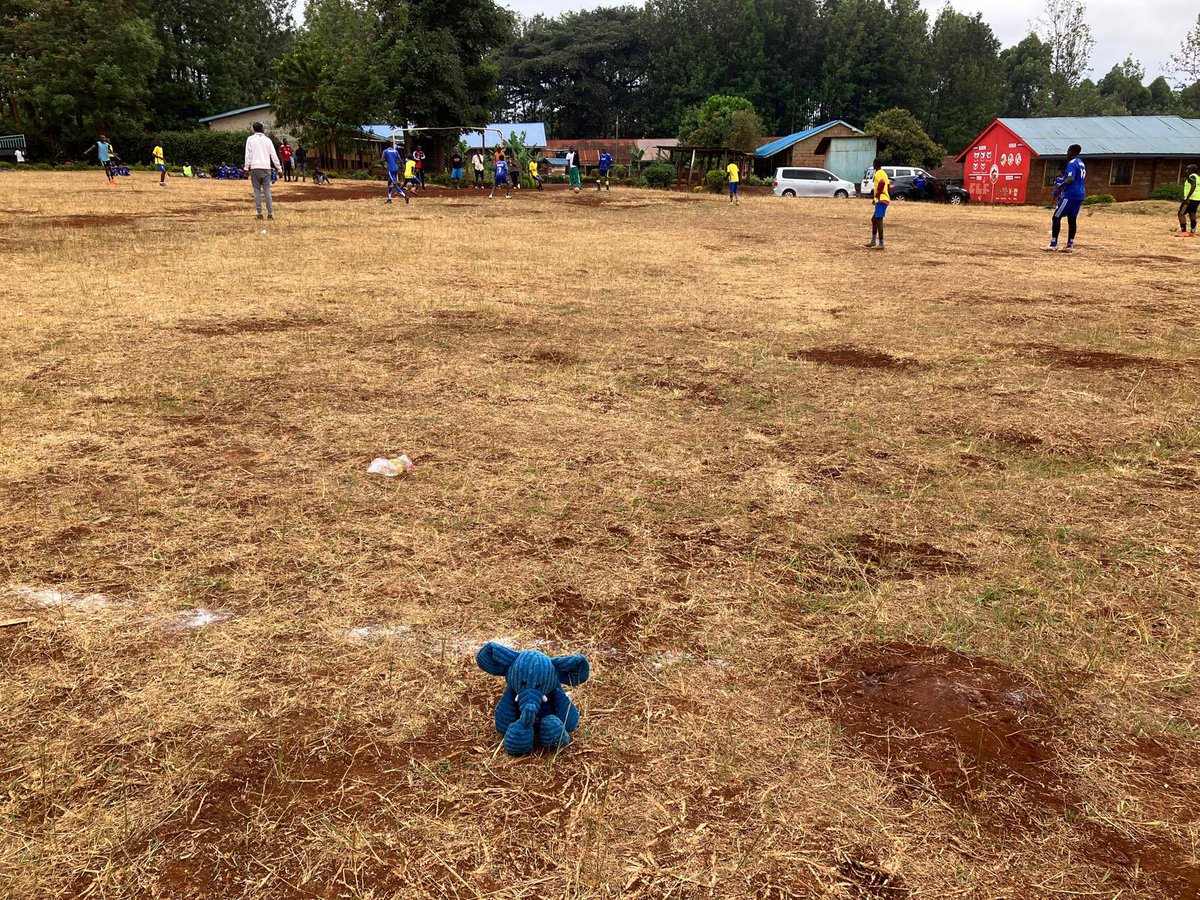 ElliePrimary1's tweet image. Today Blue Ellie played football with children from the rescue centre. What fun! #WhereIsEllie #ReachingTheWorld