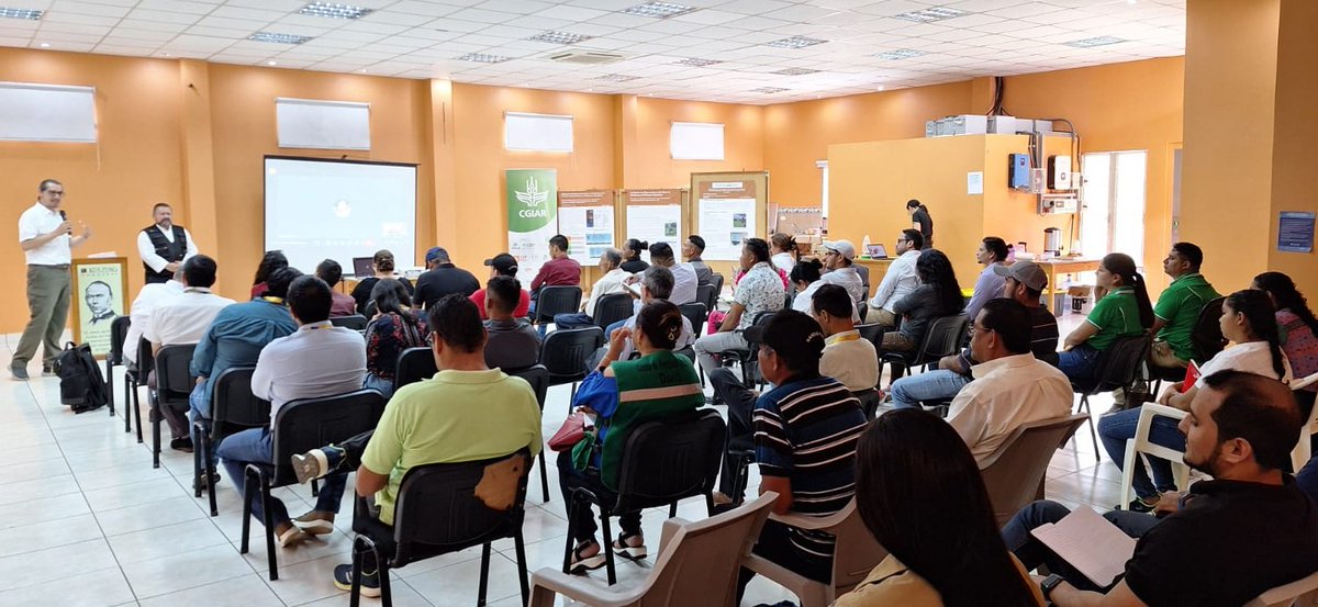 diegobando tweet media