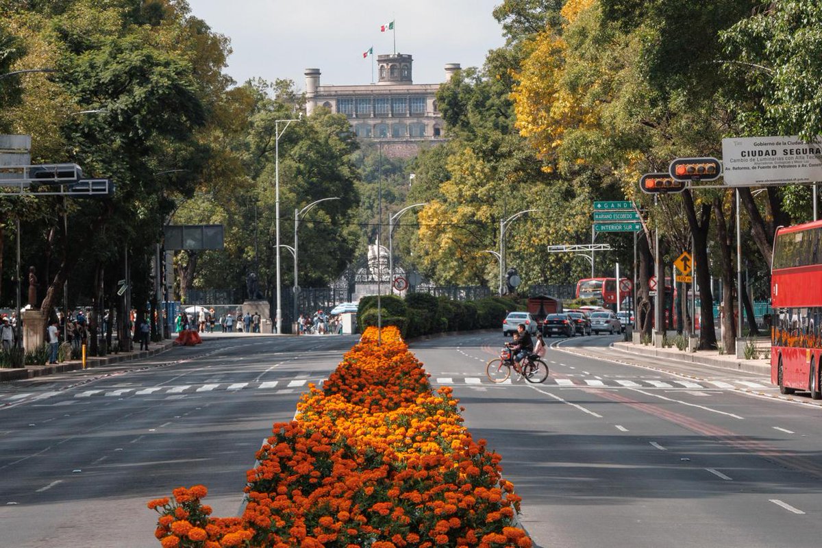 El_Universal_Mx's tweet photo. 🌼💀 Así se observa Paseo de la Reforma, luego de que se plantaran más de 200 mil flores de cempasúchil, como parte de las actividades por Día de Muertos 

📸 #FOTOS Yaretzy Osnaya de EL UNIVERSAL https://t.co/7HoFsfblJh