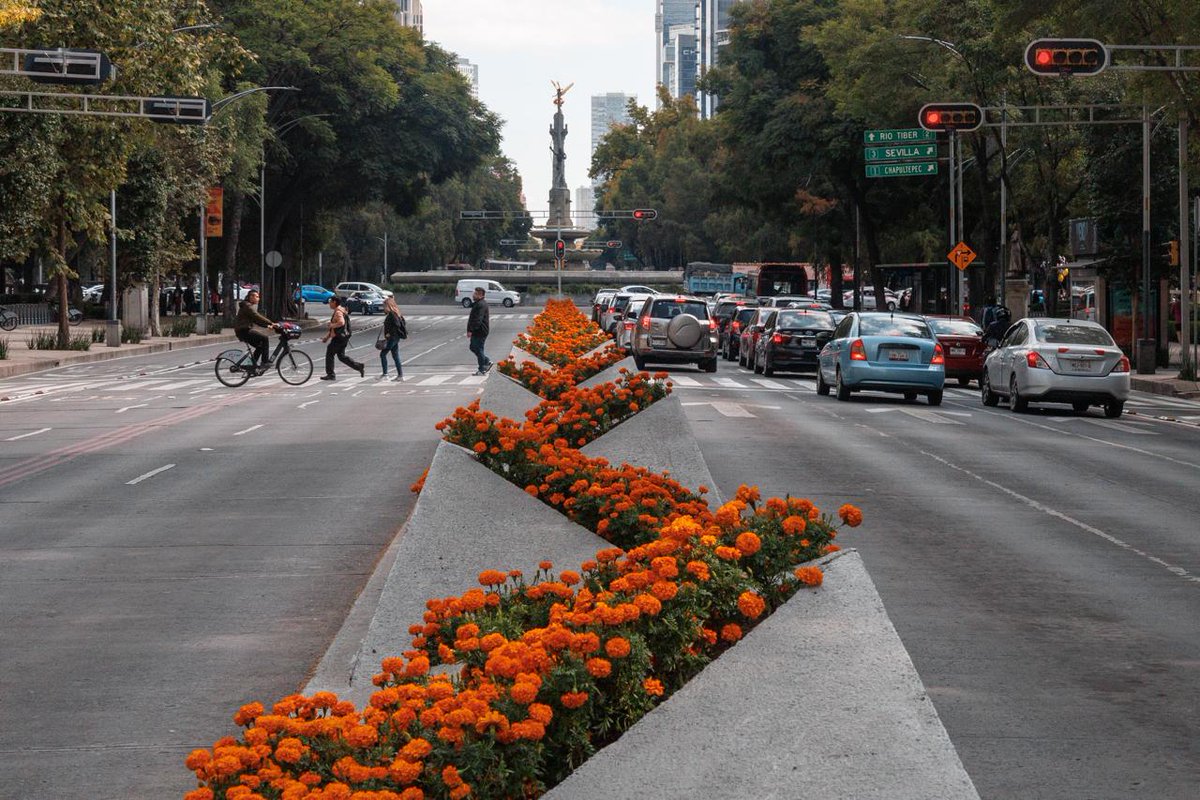 El_Universal_Mx's tweet photo. 🌼💀 Así se observa Paseo de la Reforma, luego de que se plantaran más de 200 mil flores de cempasúchil, como parte de las actividades por Día de Muertos 

📸 #FOTOS Yaretzy Osnaya de EL UNIVERSAL https://t.co/7HoFsfblJh