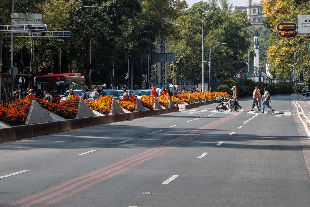 El_Universal_Mx's tweet photo. 🌼💀 Así se observa Paseo de la Reforma, luego de que se plantaran más de 200 mil flores de cempasúchil, como parte de las actividades por Día de Muertos 

📸 #FOTOS Yaretzy Osnaya de EL UNIVERSAL https://t.co/7HoFsfblJh