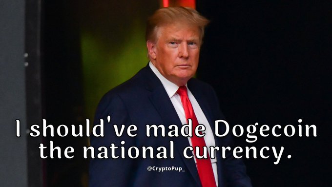 Crypto Pup tweet media
