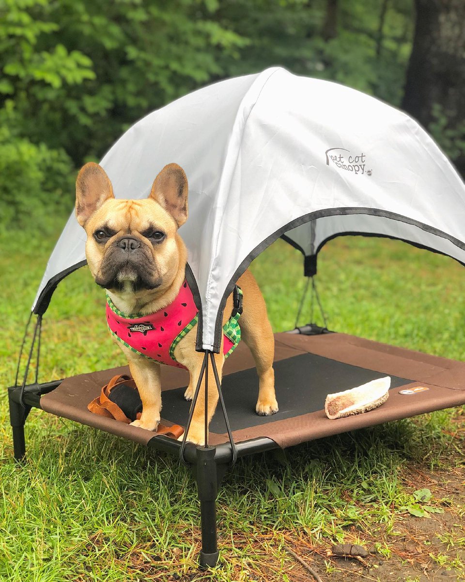 RuffhausNYC's tweet photo. Ruffing it never looked so good. Who's ready for a bark-becue? #Camping #DogLife #OutdoorAdventures #PetFashion #WeekendVibes
Gear up: https://t.co/bTh7Stxa4Q https://t.co/4QTbMaWami