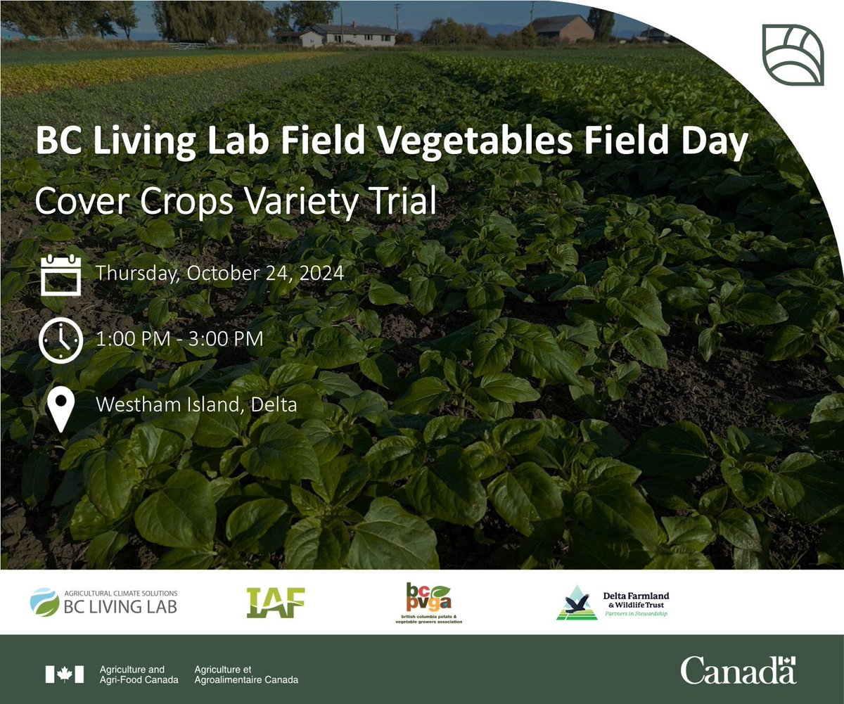 🌱 The BC Living Labs is hosting a cover crop field day on Westham Island next Thursday, Oct. 24. Drop in anytime from 1-3pm to see how 20 different types of winter cover crops compare when grown on a local field.

Learn more and register at bclivinglab.ca/event/crop-var…
