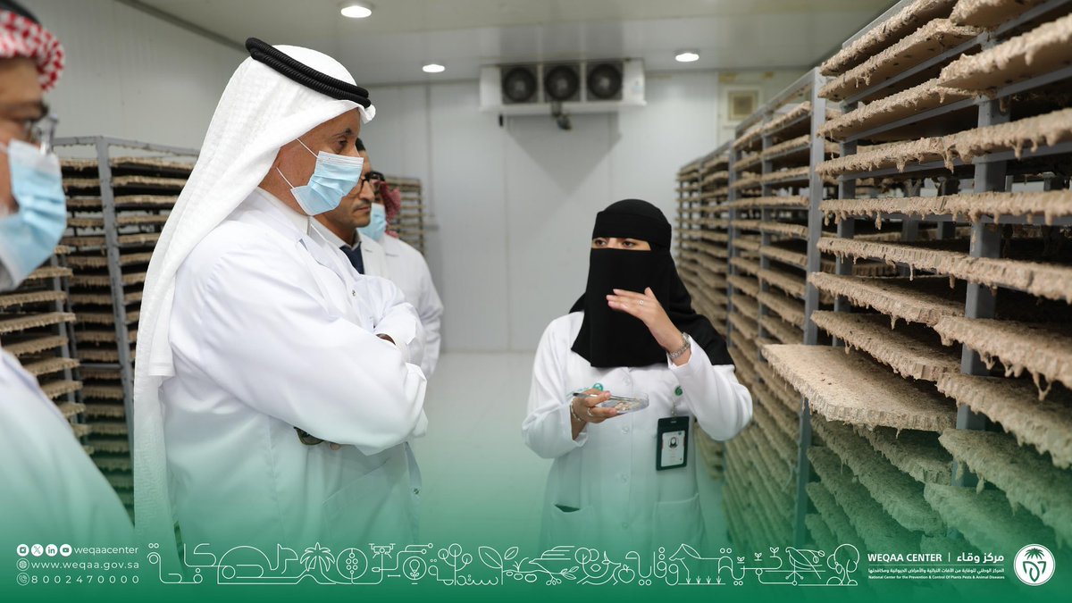 WeqaaCenter's tweet image. جانب من زيارة معالي وزير البيئة والمياه والزراعة المهندس عبدالرحمن بن عبدالمحسن الفضلي، لمركز المكافحة الحيوية وإنتاج النحل الطنَّان بمنطقة #القصيم للاطلاع على المرافق والوحدات والتوجهات المستقبلية. #وقاء #أصدقاء_الطبيعة