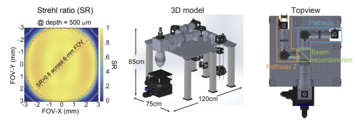 pacificoptica's tweet image. The Diesel2p: The do-anything 2p for neuroscientists. Huge field-of-view, dual scan engines, fast, easy-to-use, and already proven in neuro labs around the world. pacificoptica.com/diesel2p/