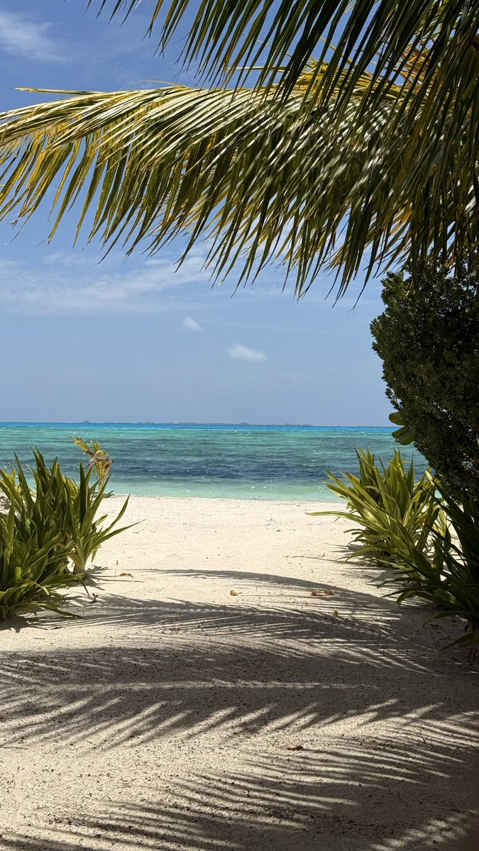 HerrBeutel | Pfiliph 🫠 tweet media