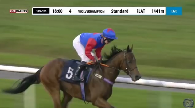 rebelsart's tweet photo. Results of the 18:00 Handicap Stakes at Wolverhampton @WolvesRaces 🏇
🥇Zu Run
J: Millie Wonnacott @MillieWonnacot1 
T: Mark Loughnane
Great ride and win! 🏆💪
#winner #Wolves #HorseRacing #Congratulations https://t.co/hInQJkRraQ