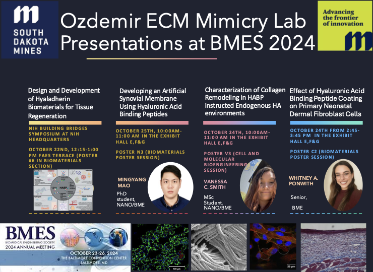 ozdemirecmmimicrylab (@ecmmimicrylab) on Twitter photo We are beyond excited to travel <a href="/BMESociety/">Biomedical Engineering Society</a> 2024 Annual Meeting this year. Visit our posters at both the NIH Special Session and During the BMES Annual Meeting to learn more about "Hyaluronan Binding Peptides and Biomaterials". @SDSMT #BMES2024 #SDSMT We are beyond excited to travel <a href="/BMESociety/">Biomedical Engineering Society</a> 2024 Annual Meeting this year. Visit our posters at both the NIH Special Session and During the BMES Annual Meeting to learn more about "Hyaluronan Binding Peptides and Biomaterials". @SDSMT #BMES2024 #SDSMT