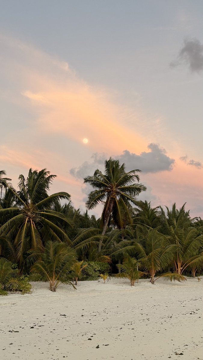 HerrBeutel | Pfiliph 🫠 tweet media