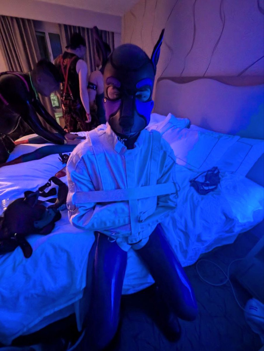 PetCinder's tweet photo. I was being a naughty puppy and had to be put in a straight jacket https://t.co/kYp4Kc6G6Z