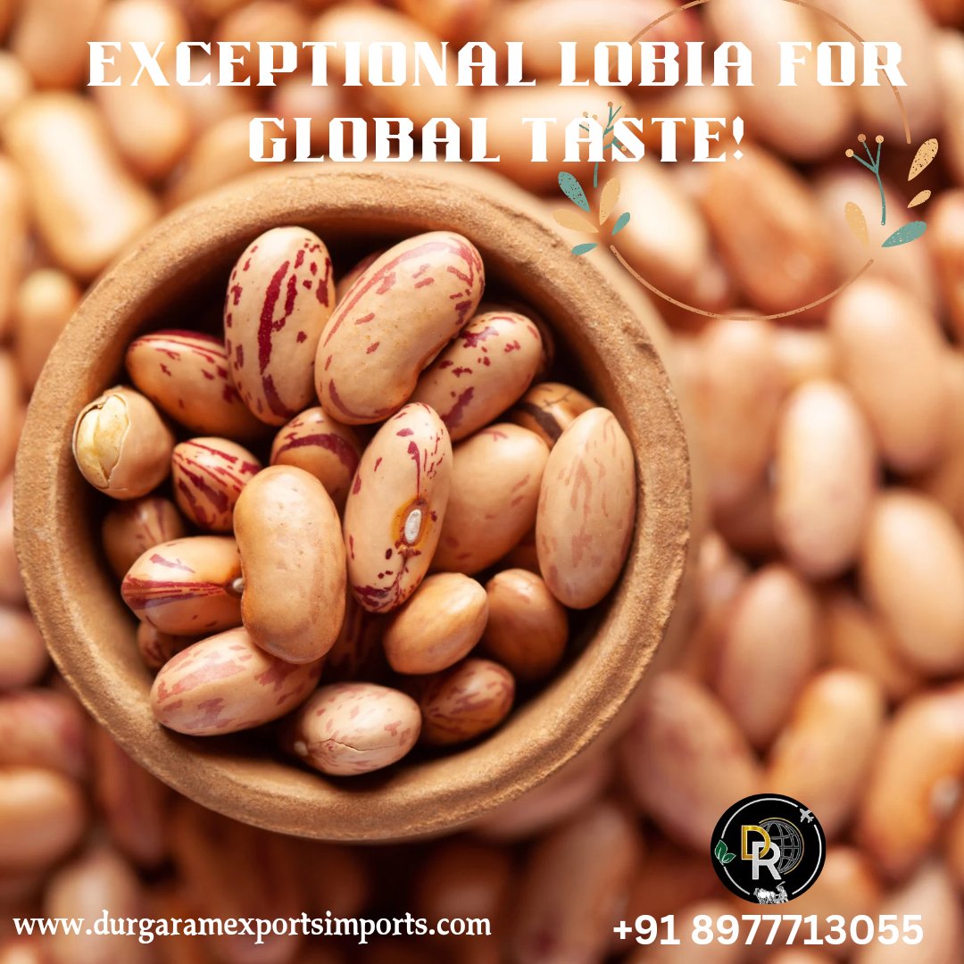 DRGlobalCompany's tweet photo. Trusted exporter of Lobia, Durga Ram Export Import Pvt. Ltd.!

Timely delivery, competitive pricing.

Wholesale inquiries welcome!

#LobiaExport #AgriExport #DurgaRamExports #IndianFarmers #GlobalMarket" https://t.co/dyHdswoUCt