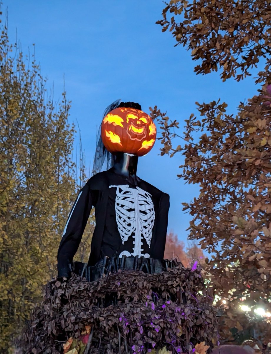 Главный финский ивент осени - это конечно не Слаш, а Фестиваль Тыквы ✨