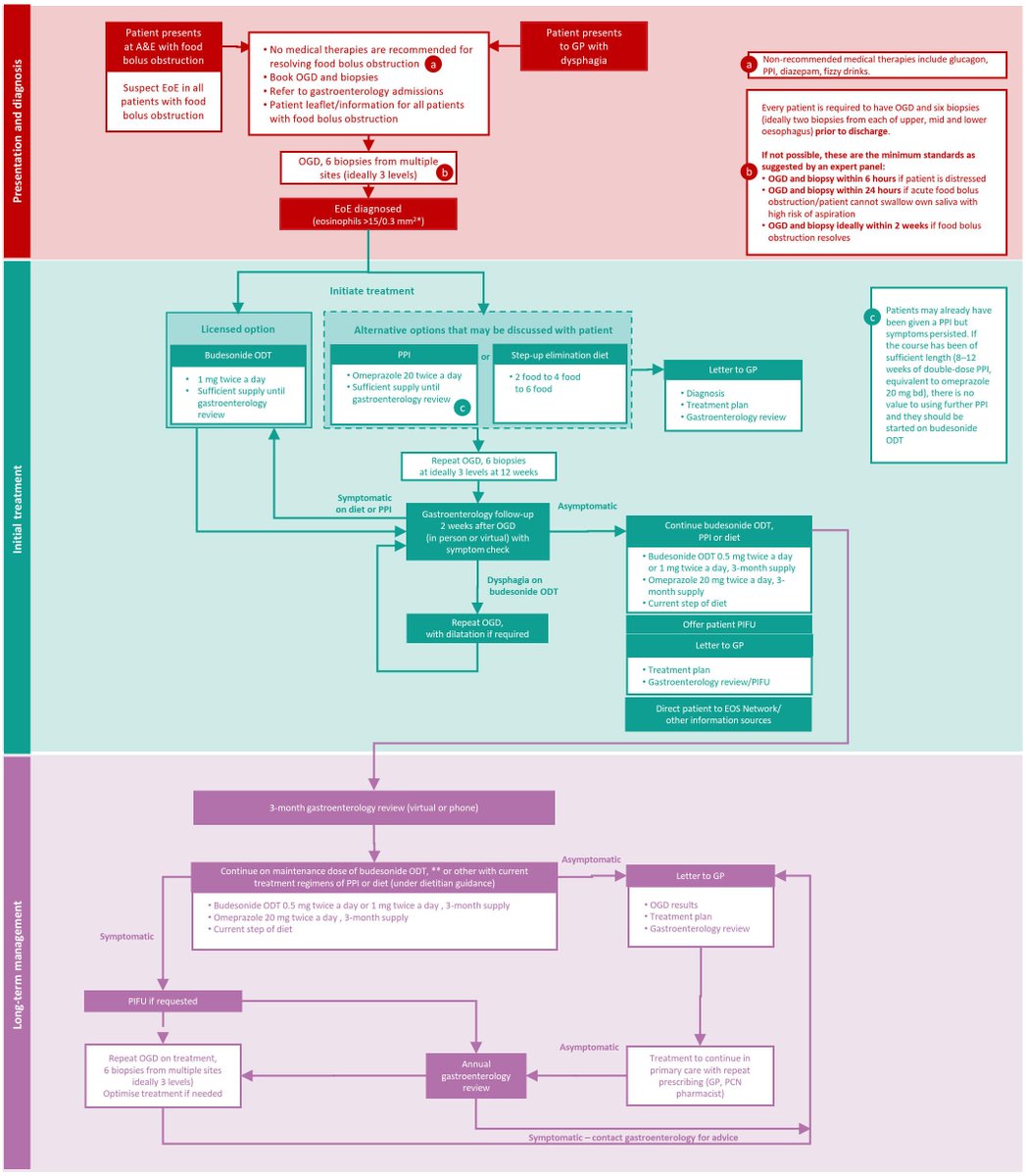 FrontGastro_BMJ's tweet photo. #FGImage from the paper by Dhar et al:
"Improving management of eosinophilic oesophagitis in adults in the UK: proposal for an integrated care pathway"
https://t.co/p8h5DIOLwN
@anjan_dhar6 https://t.co/hk6whS4X1W