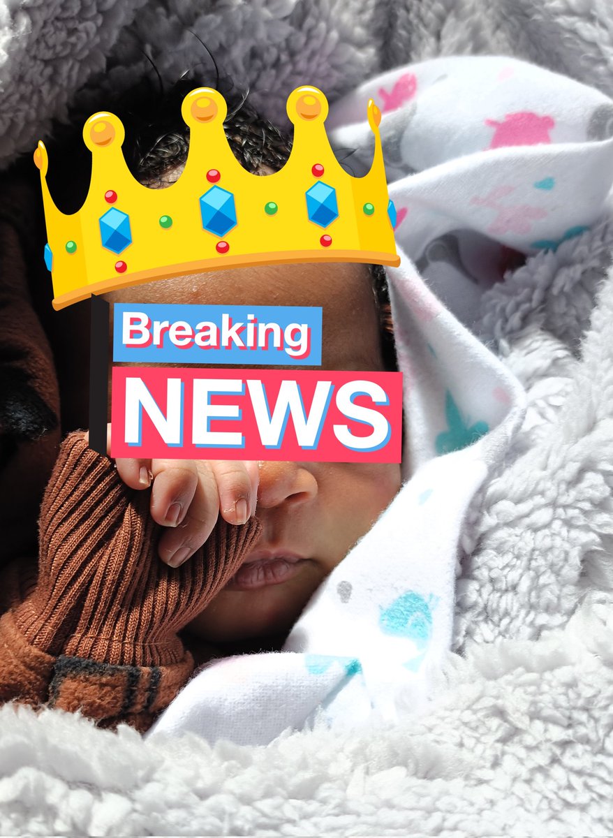 Davis Too tweet media