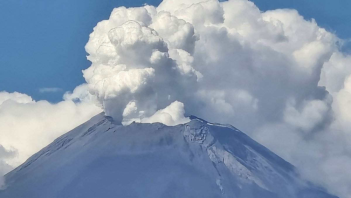 El moreno de la labia tosca tweet media