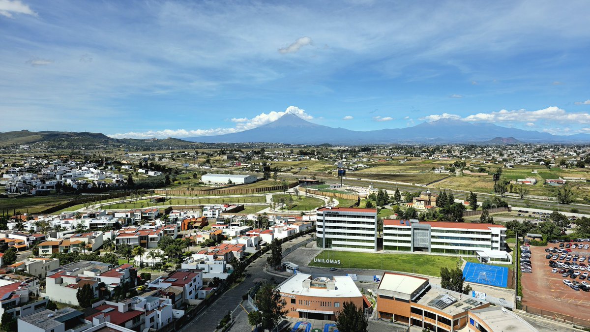 El moreno de la labia tosca tweet media