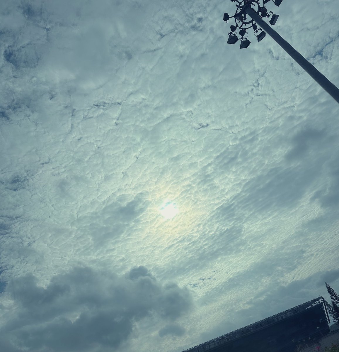 𝗸𝗲𝗲𝗽.𝗶𝘁.𝘀𝗲𝗰𝗿𝗲𝘁💭 tweet media