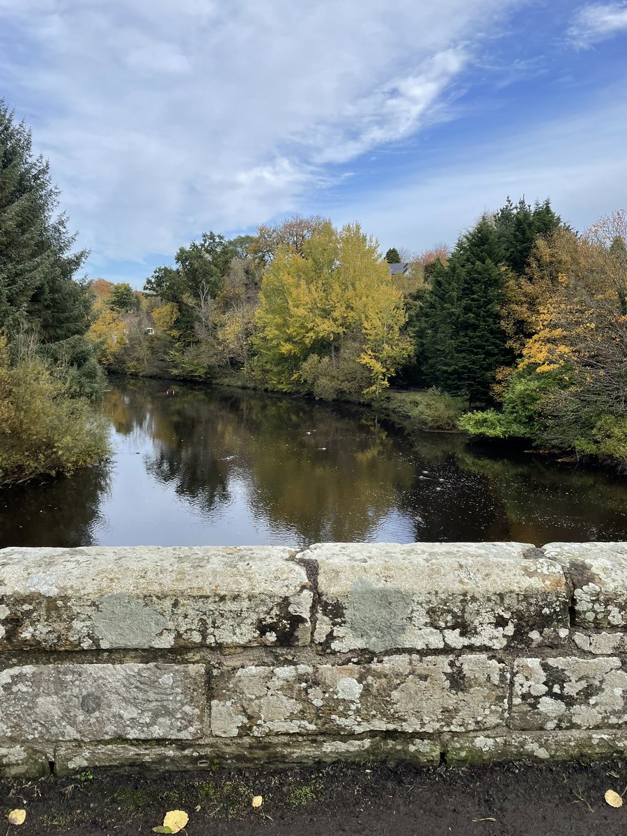 Cat Harvey tweet media