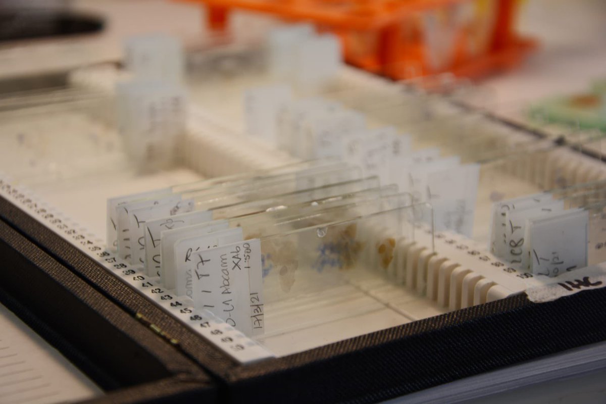 Ubatec SA tweet media