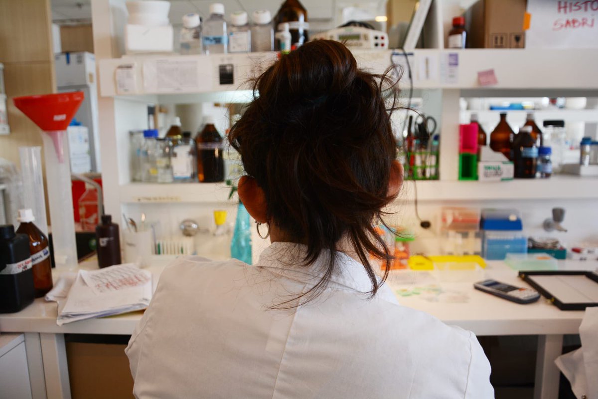 Ubatec SA tweet media