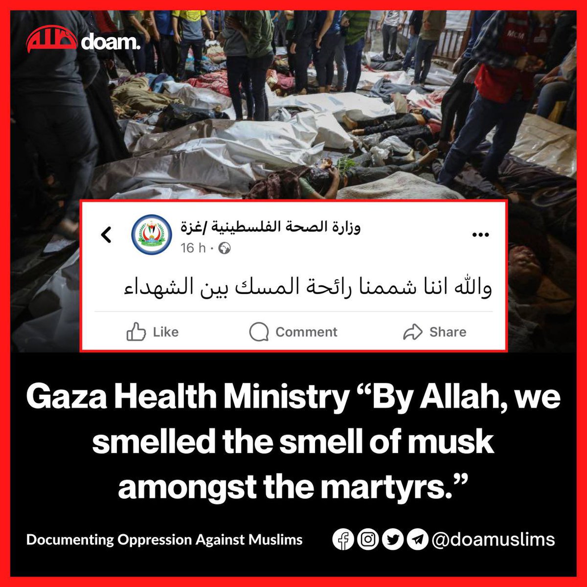 #Gaza Health Ministry: By Allah, we smelled the smell of musk amongst the martyrs.