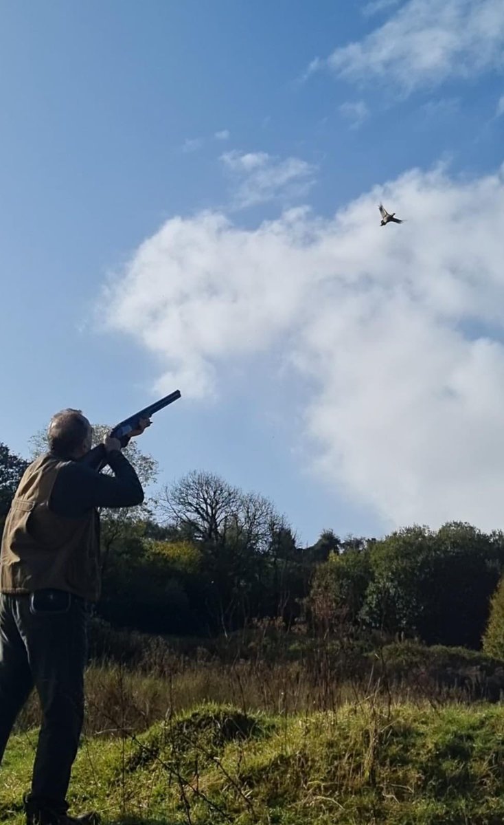 Welshconservation tweet media