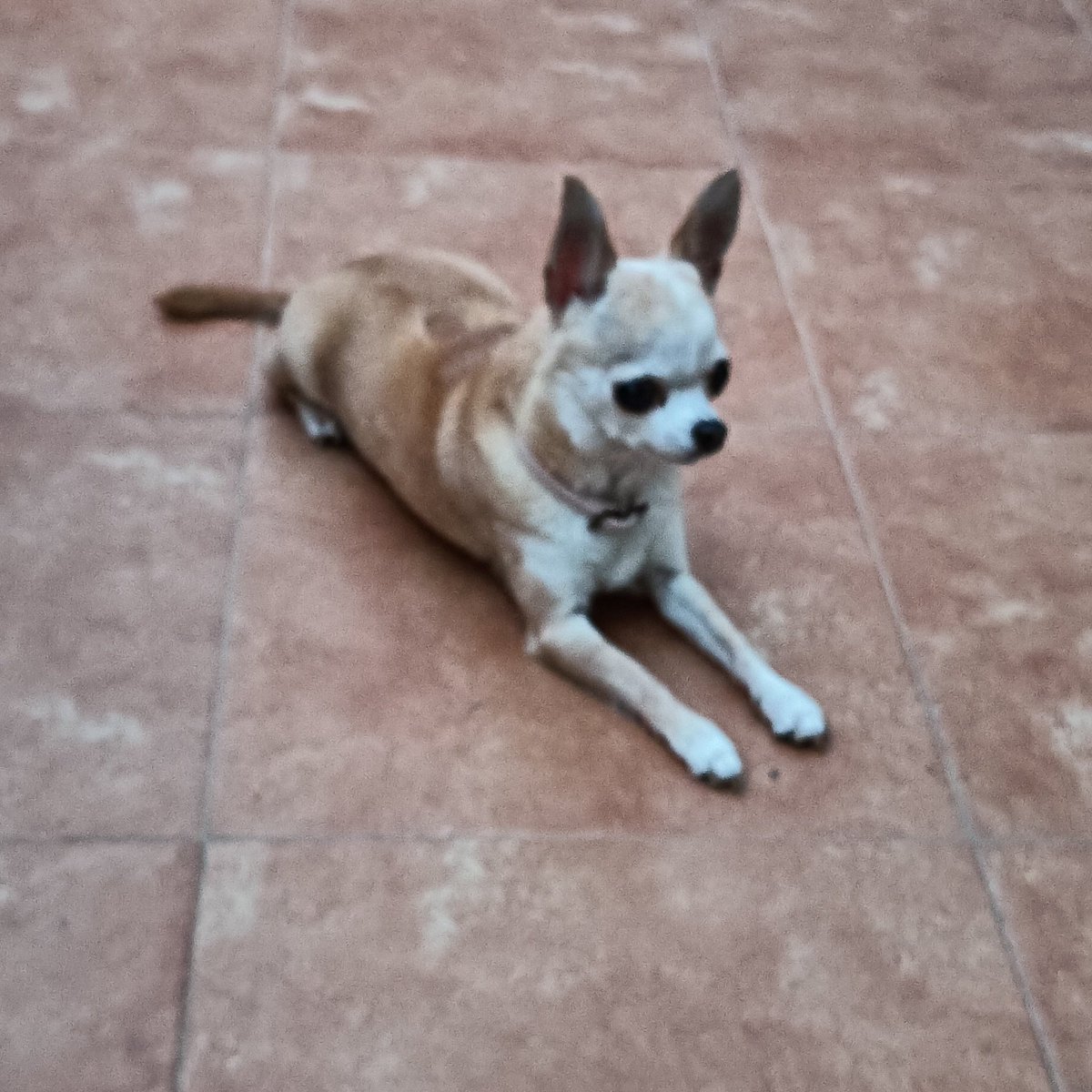 JavierNaranjo64's tweet photo. #NuevaFotoDePerfil https://t.co/1ZeC6AgMOU
